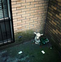 gal/Untitled (Project)/_thb_027.jpg